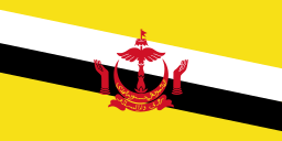 Brunei - Demografía