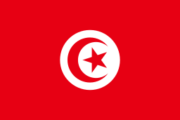 Túnez - Etimología