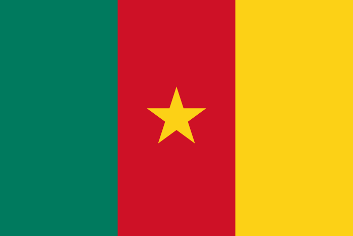 Camerún - Militar