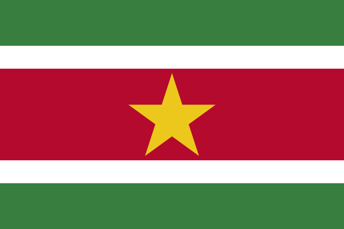 Surinam - Divisiones administrativas